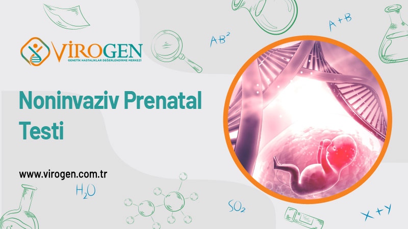 Noninvaziv Prenatal 
Testi