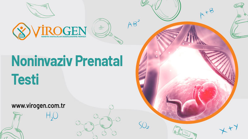 Noninvaziv Prenatal 
Testi